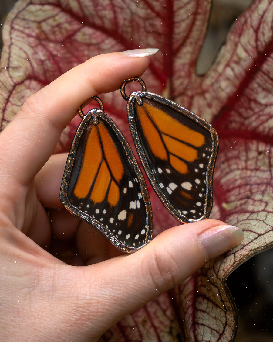 Monarch Wings